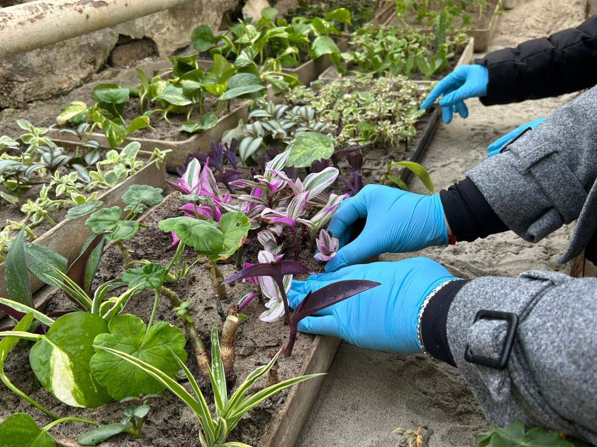 WhatsApp Image 2024-12-13 at 18.50.16_9c7b4674.jpg