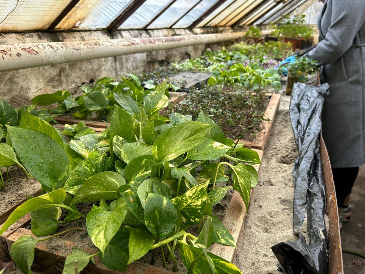 WhatsApp Image 2024-12-13 at 18.50.16_e6cb128d.jpg