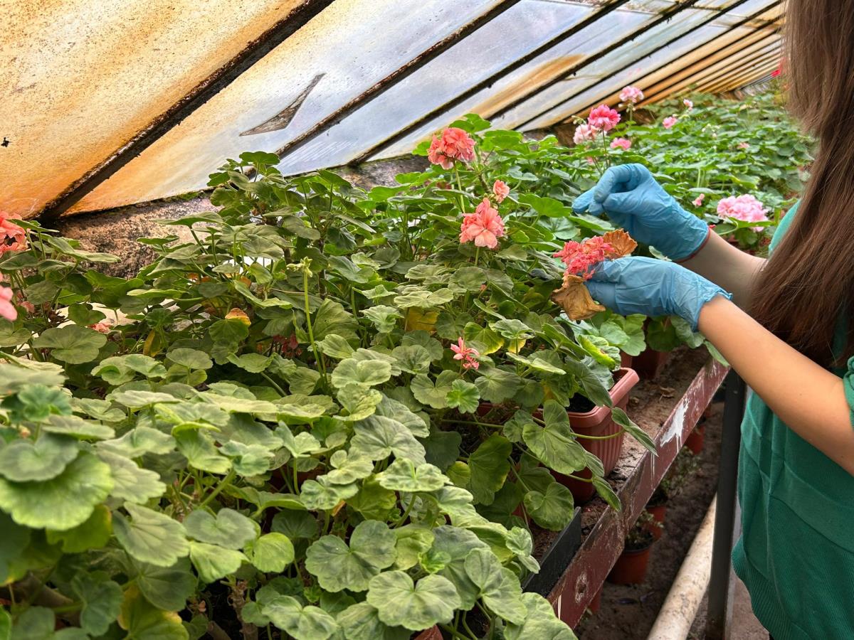 WhatsApp Image 2024-12-13 at 18.50.17_ae44d0d3.jpg