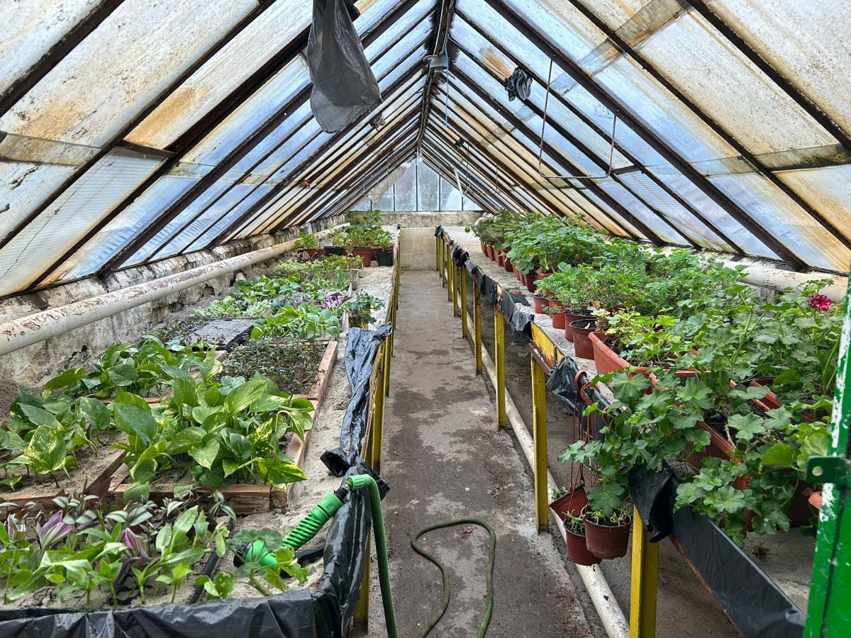 WhatsApp Image 2024-12-13 at 18.50.18_986c559a.jpg