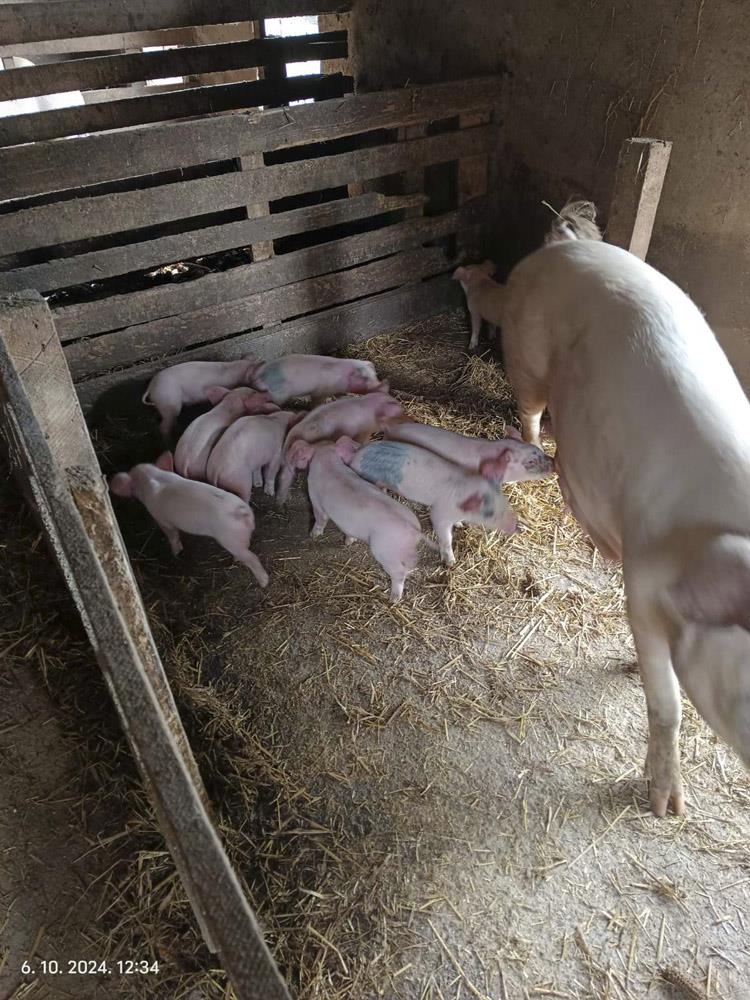 0801   IMG-4e515f3cfb27a0dc3264e6b610a85edf-V.jpg