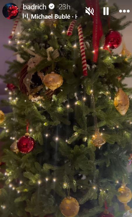 Novogodišnja čarolija u domu Nine Badrić