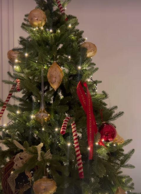 Novogodišnja čarolija u domu Nine Badrić