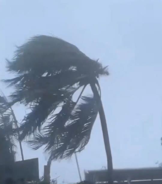 Screenshot 2024-12-16 105927.png