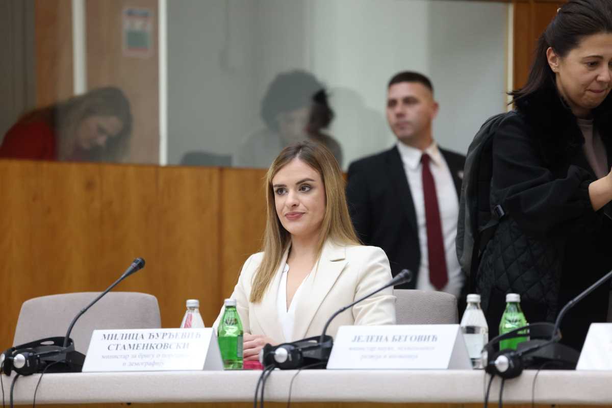 WhatsApp Image 2024-12-17 at 12.58.23 PM (1).jpeg