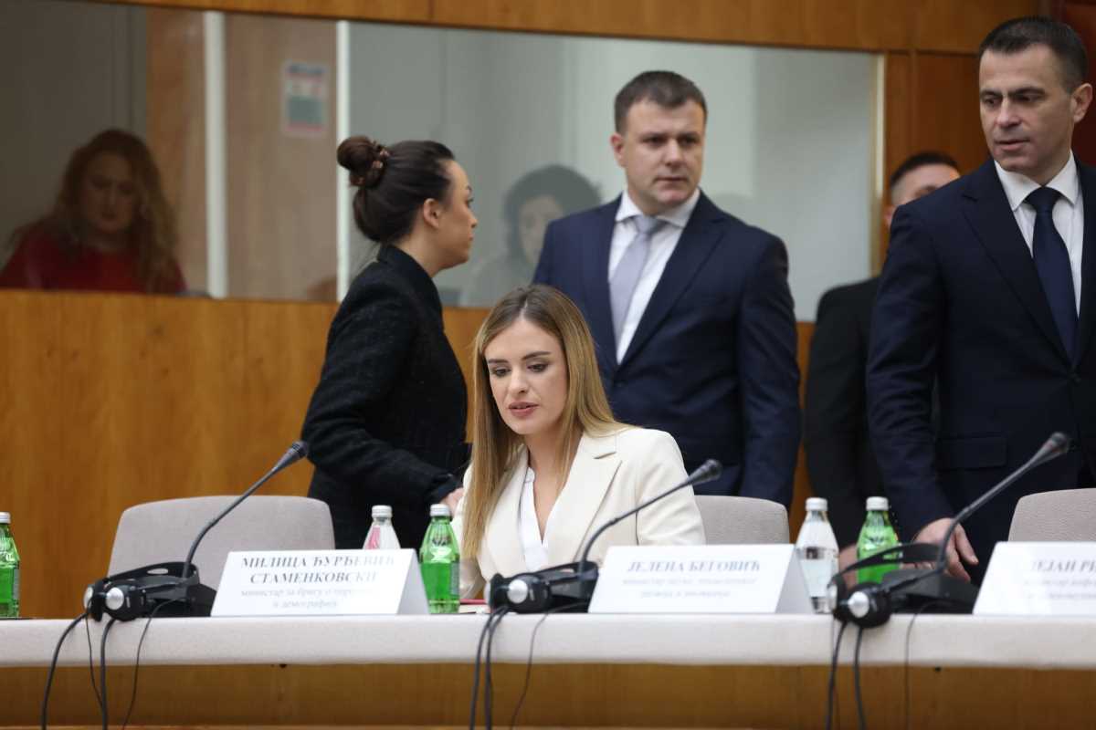 WhatsApp Image 2024-12-17 at 12.58.22 PM (2).jpeg