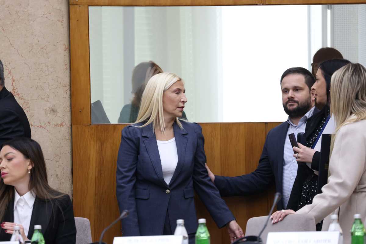 WhatsApp Image 2024-12-17 at 12.58.22 PM.jpeg