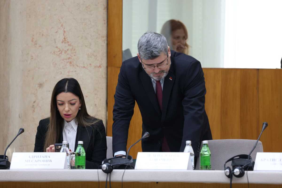 WhatsApp Image 2024-12-17 at 12.58.21 PM (1).jpeg