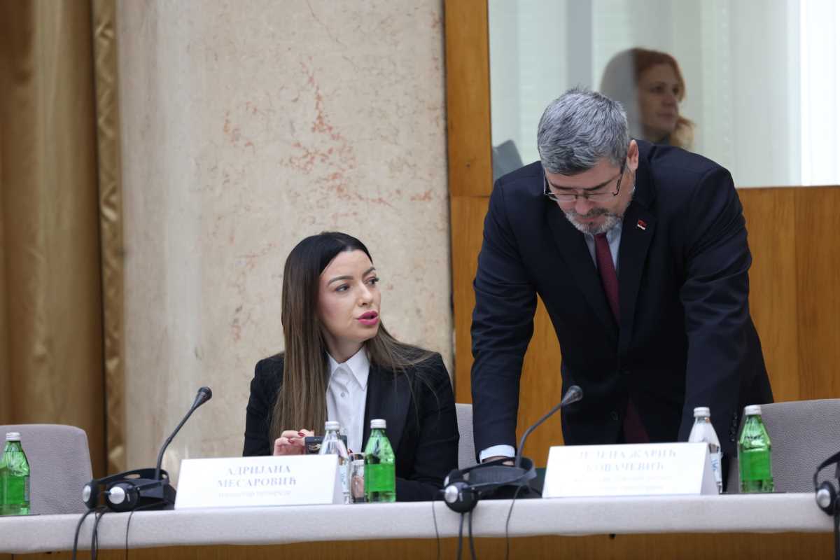 WhatsApp Image 2024-12-17 at 12.58.21 PM.jpeg