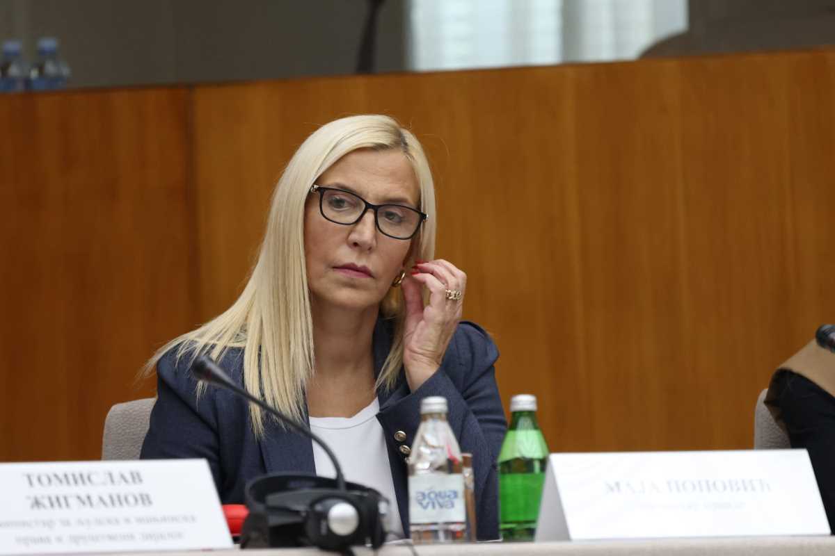 WhatsApp Image 2024-12-17 at 12.58.17 PM (1).jpeg