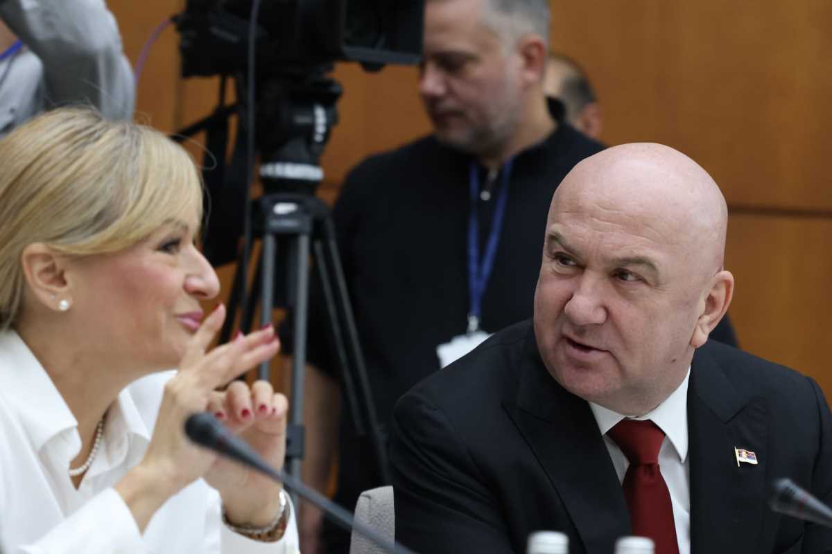 WhatsApp Image 2024-12-17 at 12.58.17 PM.jpeg