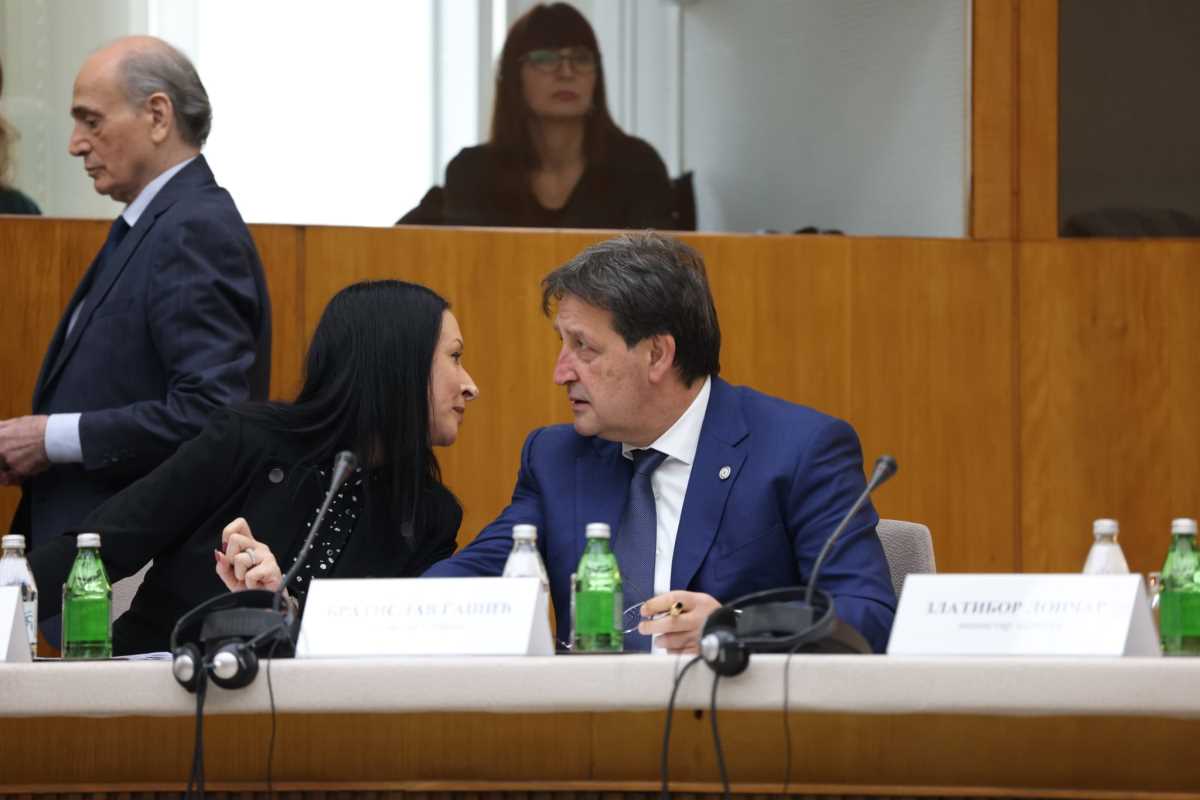 WhatsApp Image 2024-12-17 at 12.58.06 PM.jpeg