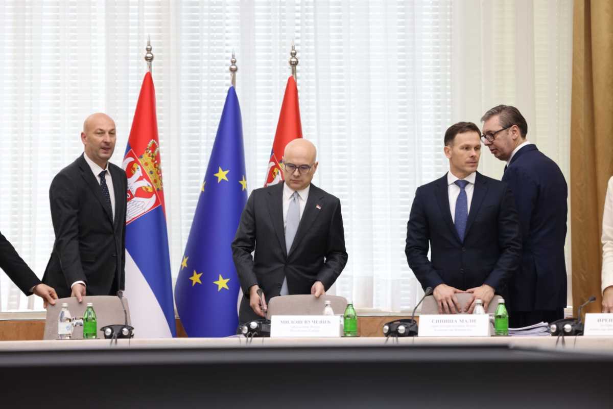 WhatsApp Image 2024-12-17 at 1.12.02 PM.jpeg