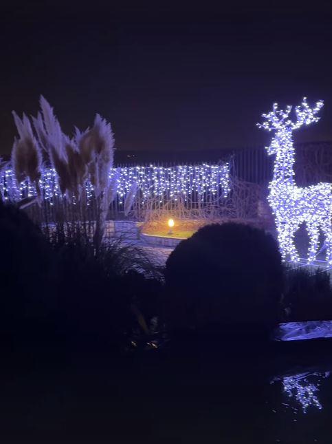 Jelena Karleuša pokazala deo novogodišnje dekoracije, dvorište pretvorila u čaroliju