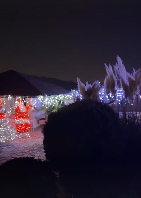 Jelena Karleuša pokazala deo novogodišnje dekoracije, dvorište pretvorila u čaroliju