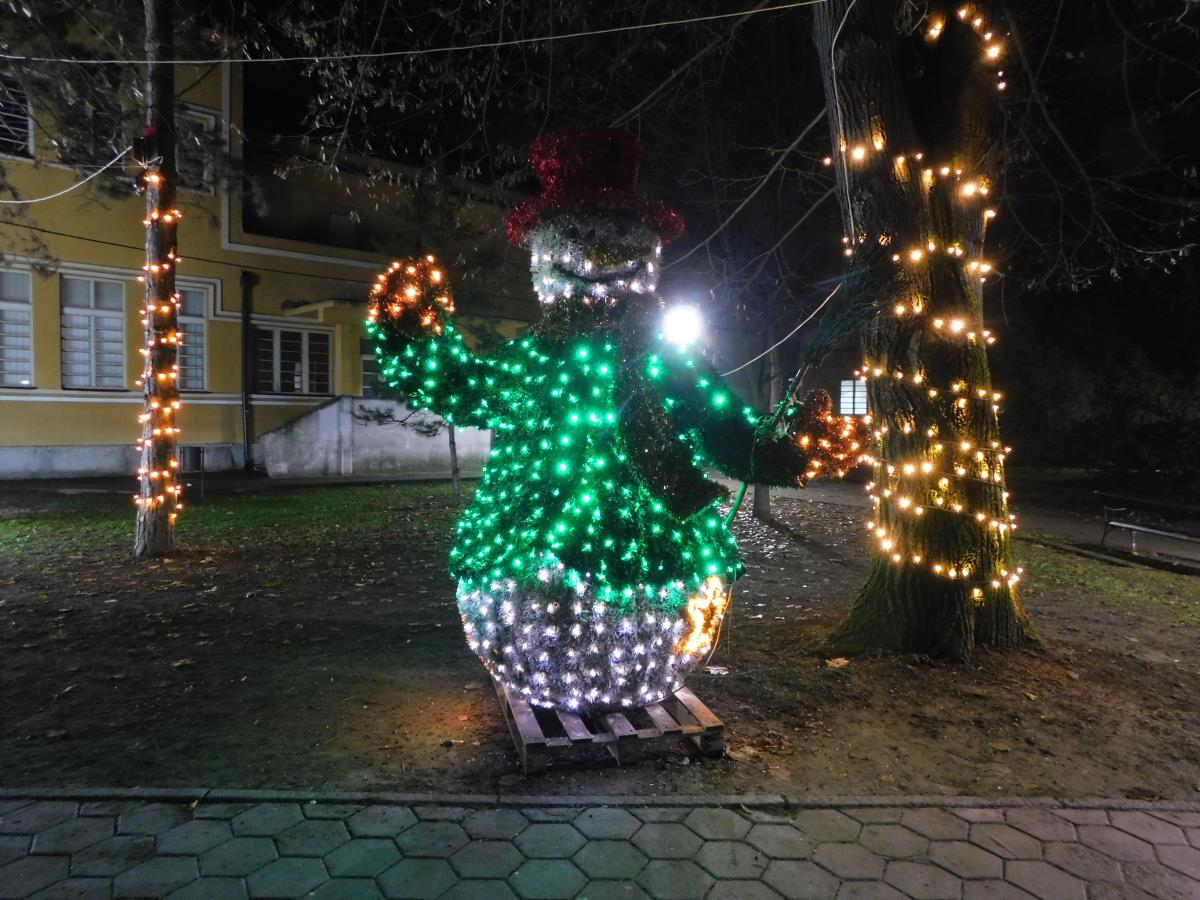 LOZNICA - Sneško.JPG