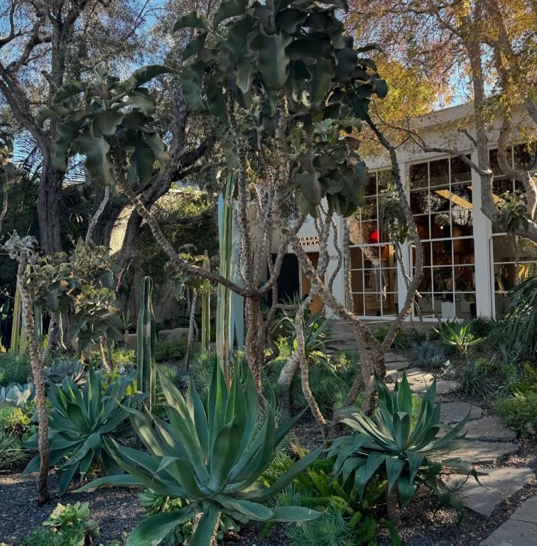 jelisaveta orasanin 10.jpg