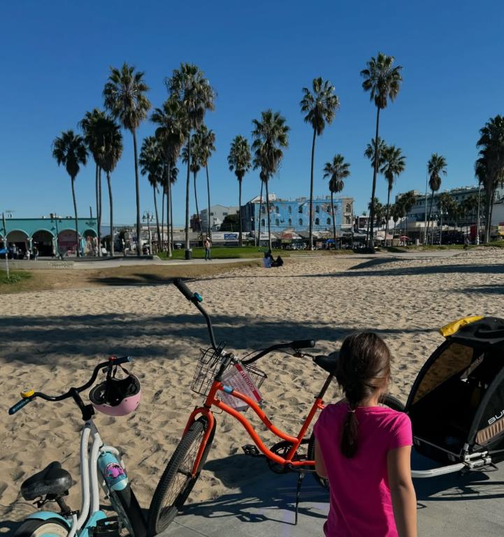 jelisaveta orasanin 6.png