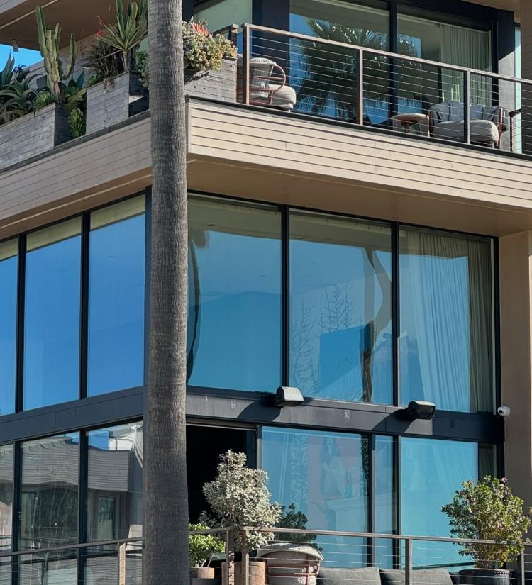 jelisaveta orasanin 3.png