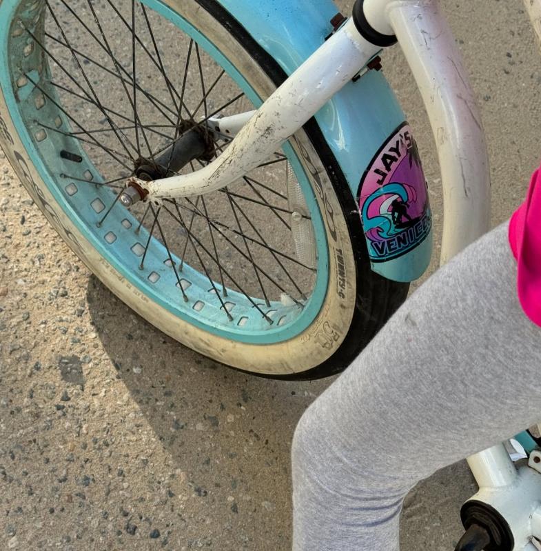 jelisaveta orasanin 2.png