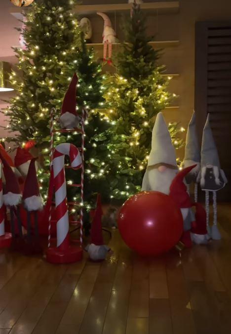 Jelena Karleuša pokazala novogodišnju jelku u porodičnom domu