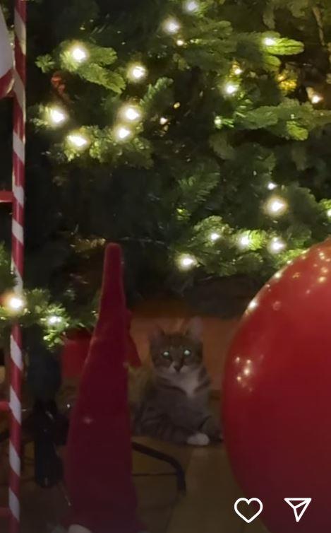 Jelena Karleuša pokazala novogodišnju jelku u porodičnom domu