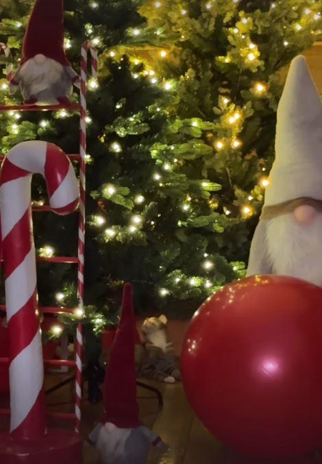 Jelena Karleuša pokazala novogodišnju jelku u porodičnom domu