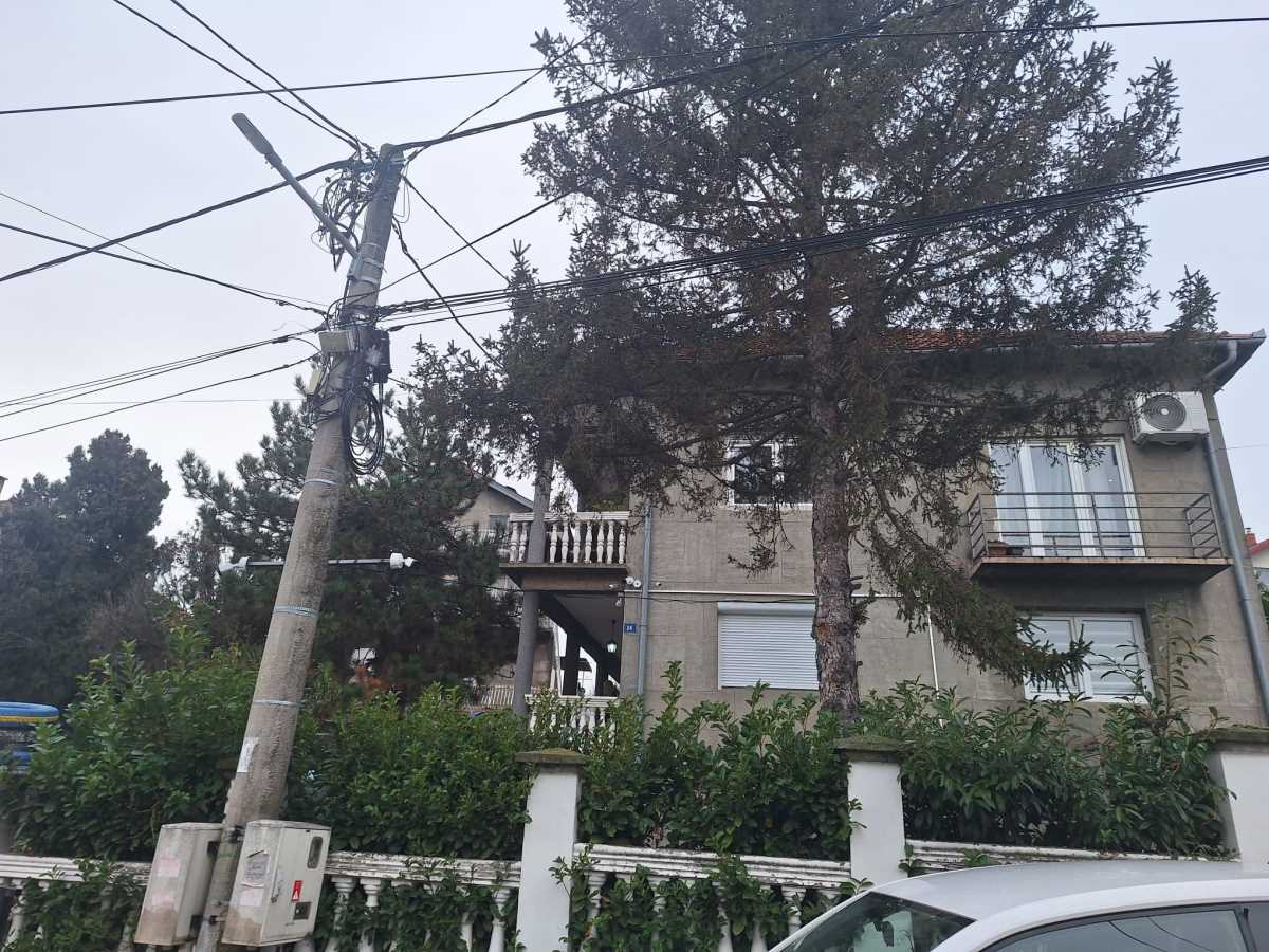 WhatsApp Image 2024-12-21 at 11.44.17 AM (2).jpeg