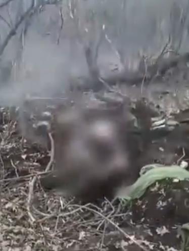 Screenshot 2024-12-22 195034.png