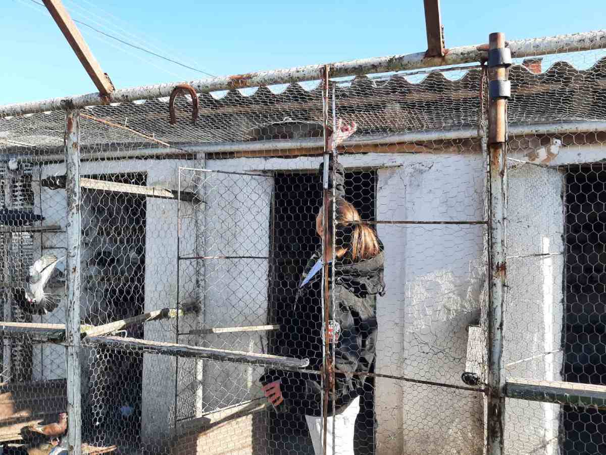 srdjana u golubarniku.jpg