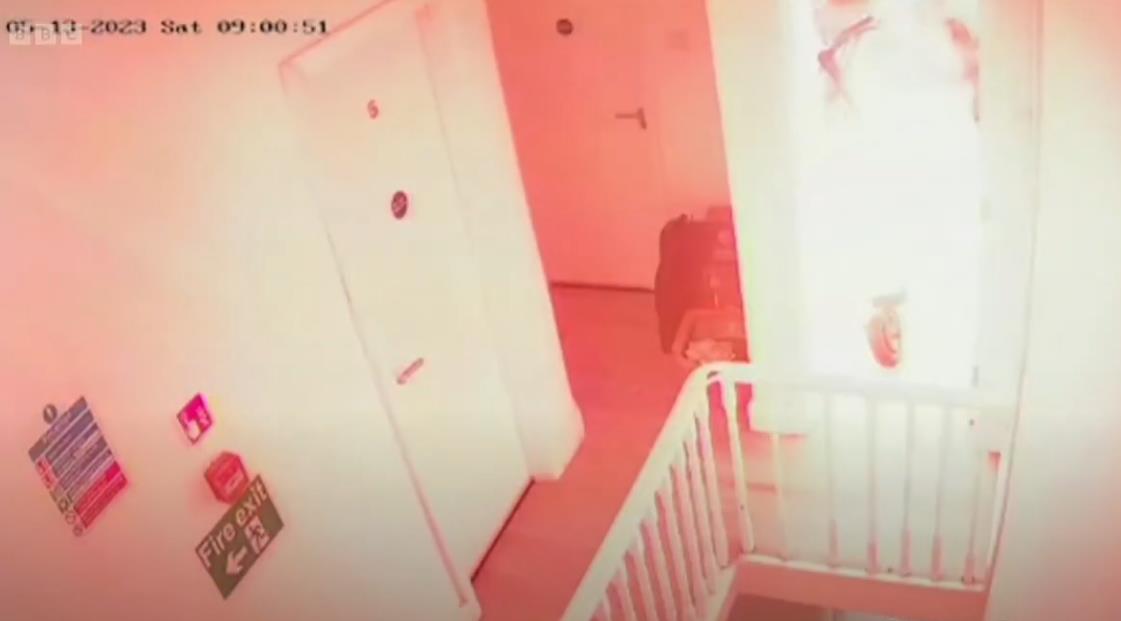 Screenshot 2024-12-23 103651.png