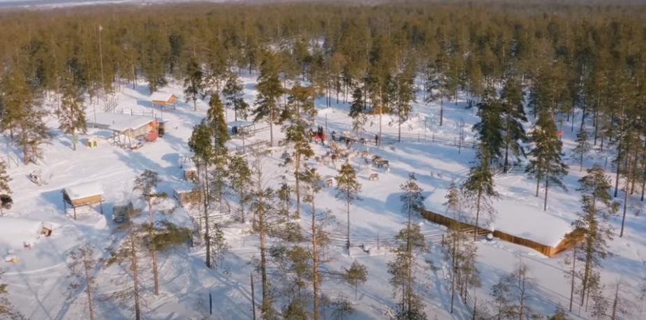 radovan kovač 4.png