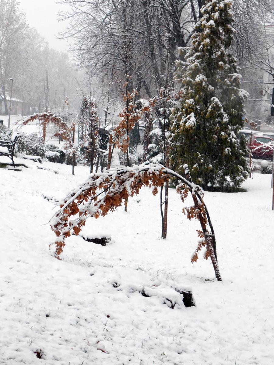 LOZNICA - Vlažan sneg.JPG