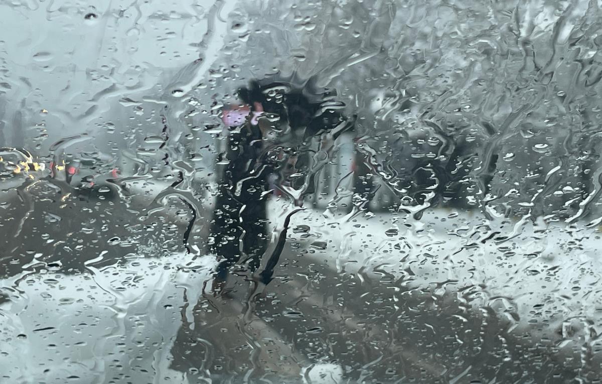 WhatsApp Image 2024-12-24 at 09.46.06_7a33a31d.jpg