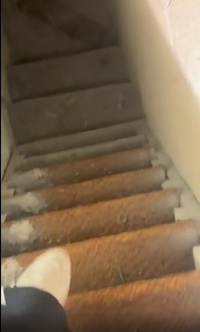 Screenshot 2024-12-24 095431.jpg