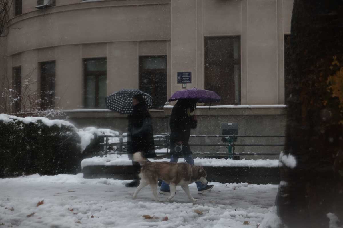 WhatsApp Image 2024-12-24 at 10.36.44_101ab45a.jpg