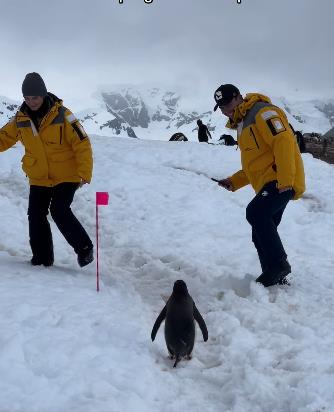 Screenshot 2024-12-24 111743.jpg