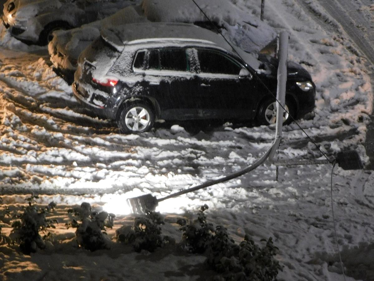 LOZNICA -Pala bandera.JPG