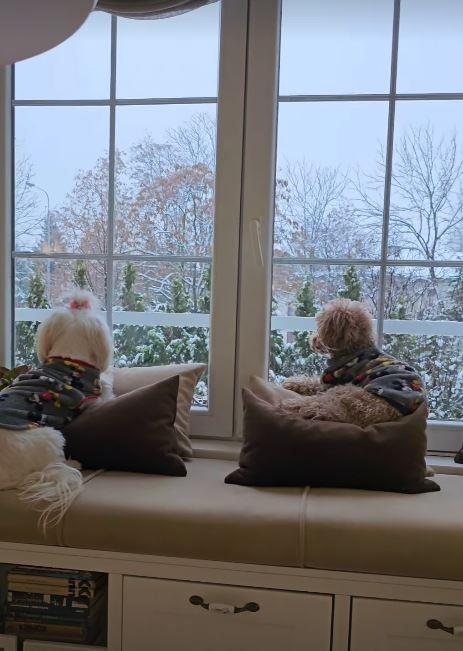 2024-12-24 14_44_57-Приче • Instagram.jpg