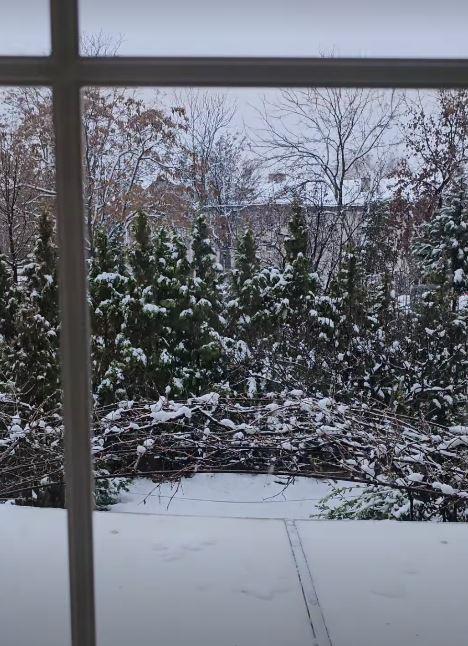 2024-12-24 14_45_14-Приче • Instagram.jpg