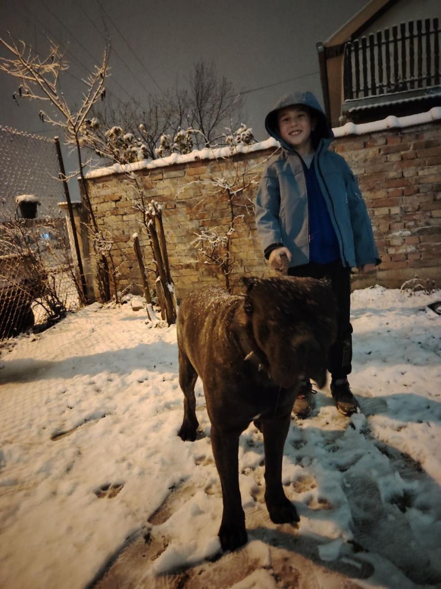 WhatsApp Image 2024-12-24 at 18.12.38_0b429606.jpg