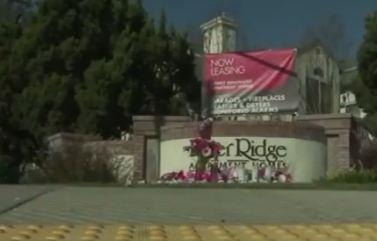 2024-12-25 18_55_10-Twitter Publish.jpg