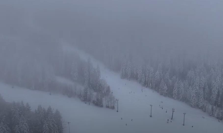 Screenshot 2024-12-26 151520.jpg