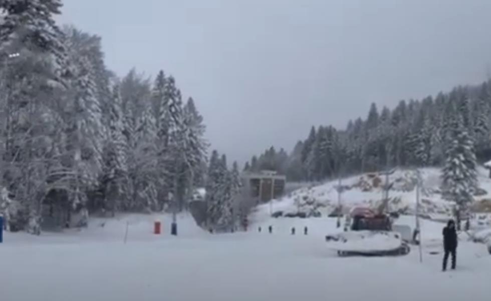 Screenshot 2024-12-26 151654.png