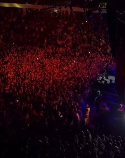 2024-12-28 08_38_55-Find 'ceca novi sad fanovi' on TikTok _ TikTok Search.jpg