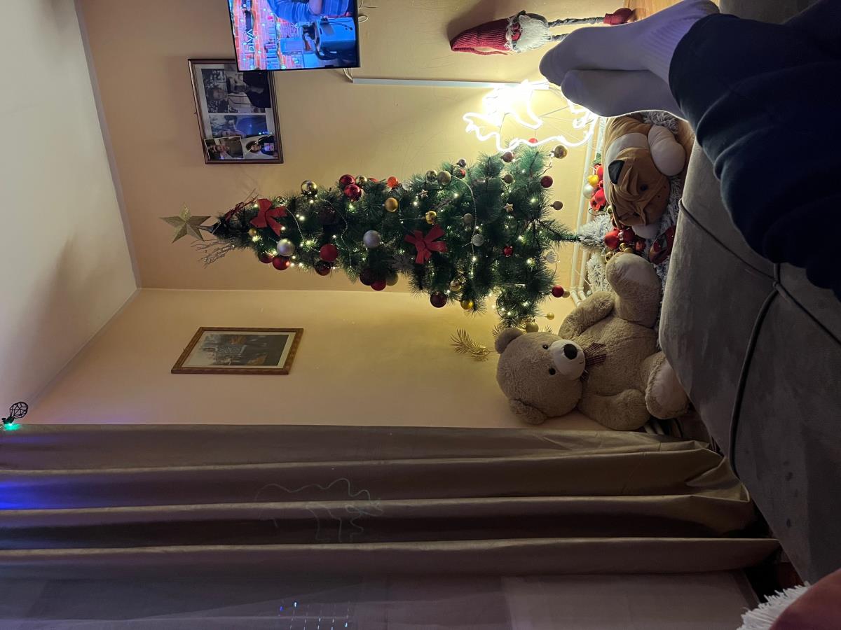 Porodična idila porodice Panić