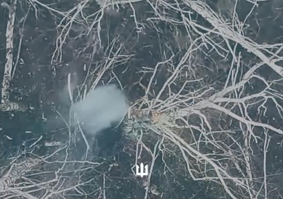 Screenshot 2024-12-30 083312.png