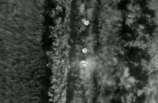 Screenshot 2024-12-30 083434.png