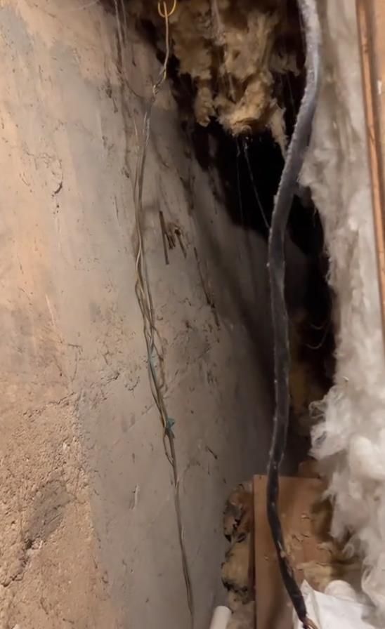 Bobi Kertis Li  ukleta kuća tik tok (14).png