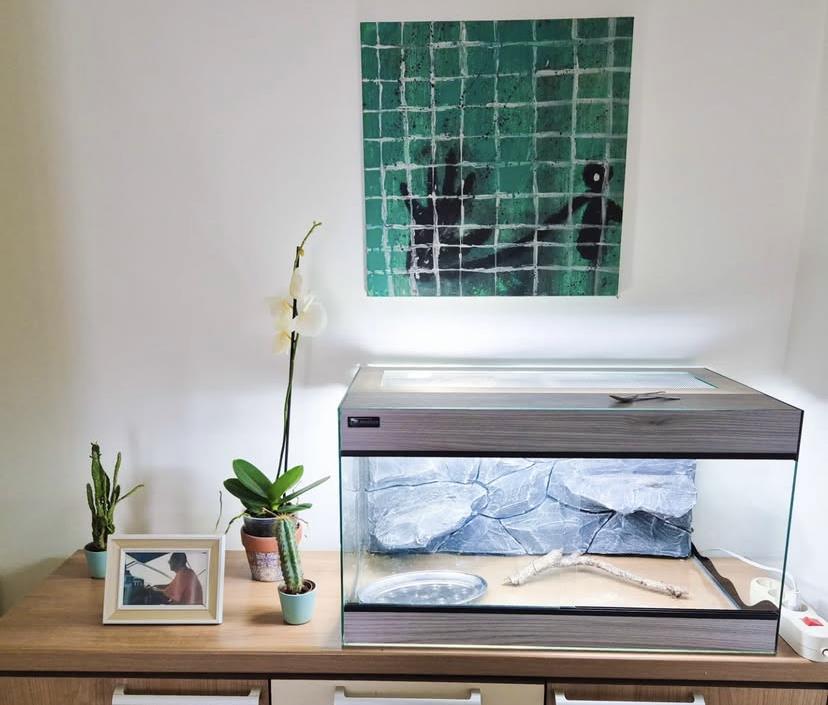 Novogodišnji intervju Dunje Ilić